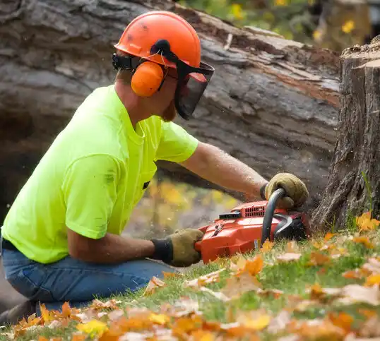 tree services Houston Acres